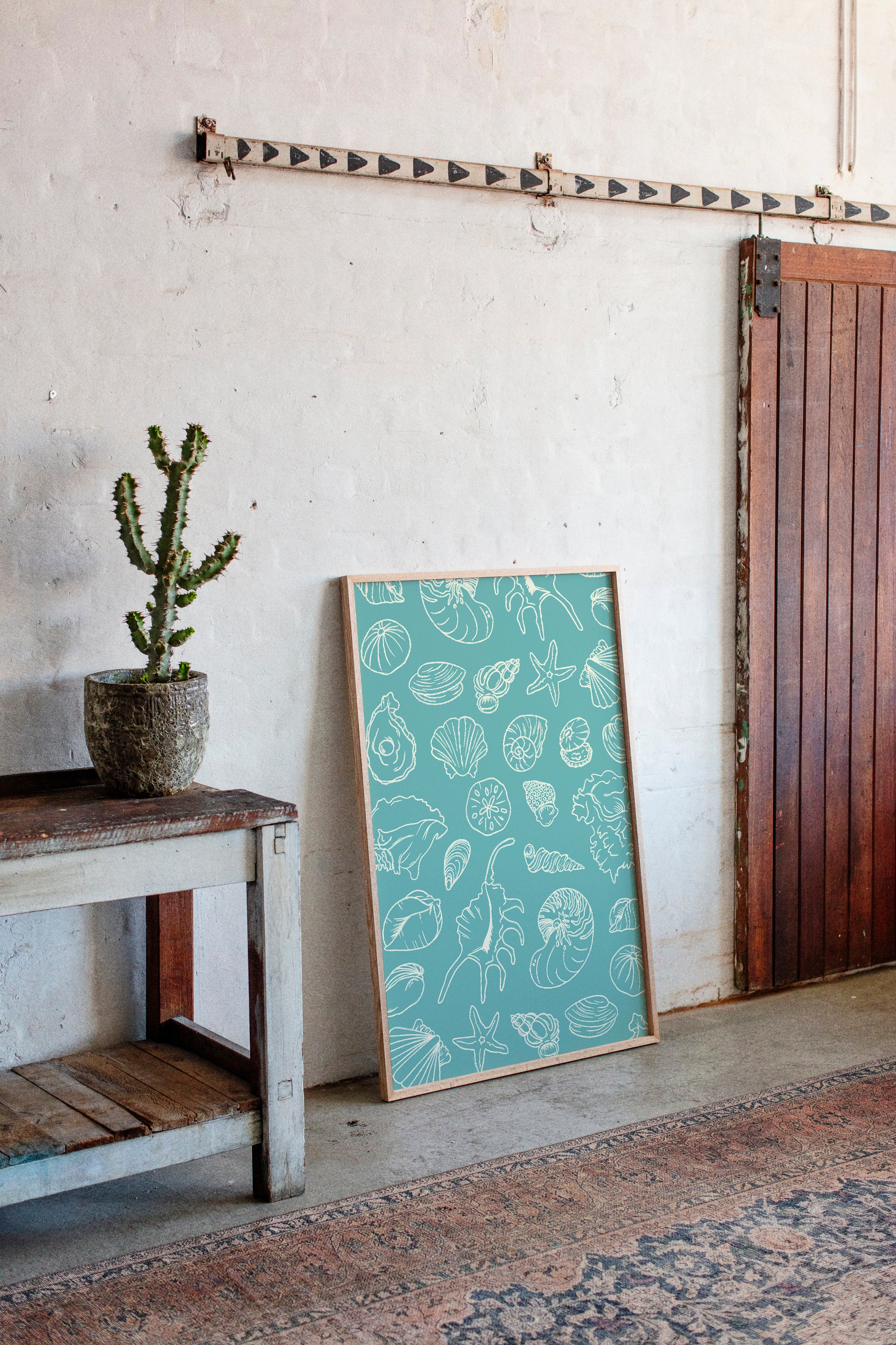 Seashells Draw Maps To Paradise