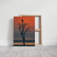 Vulture at Dusk's Edge