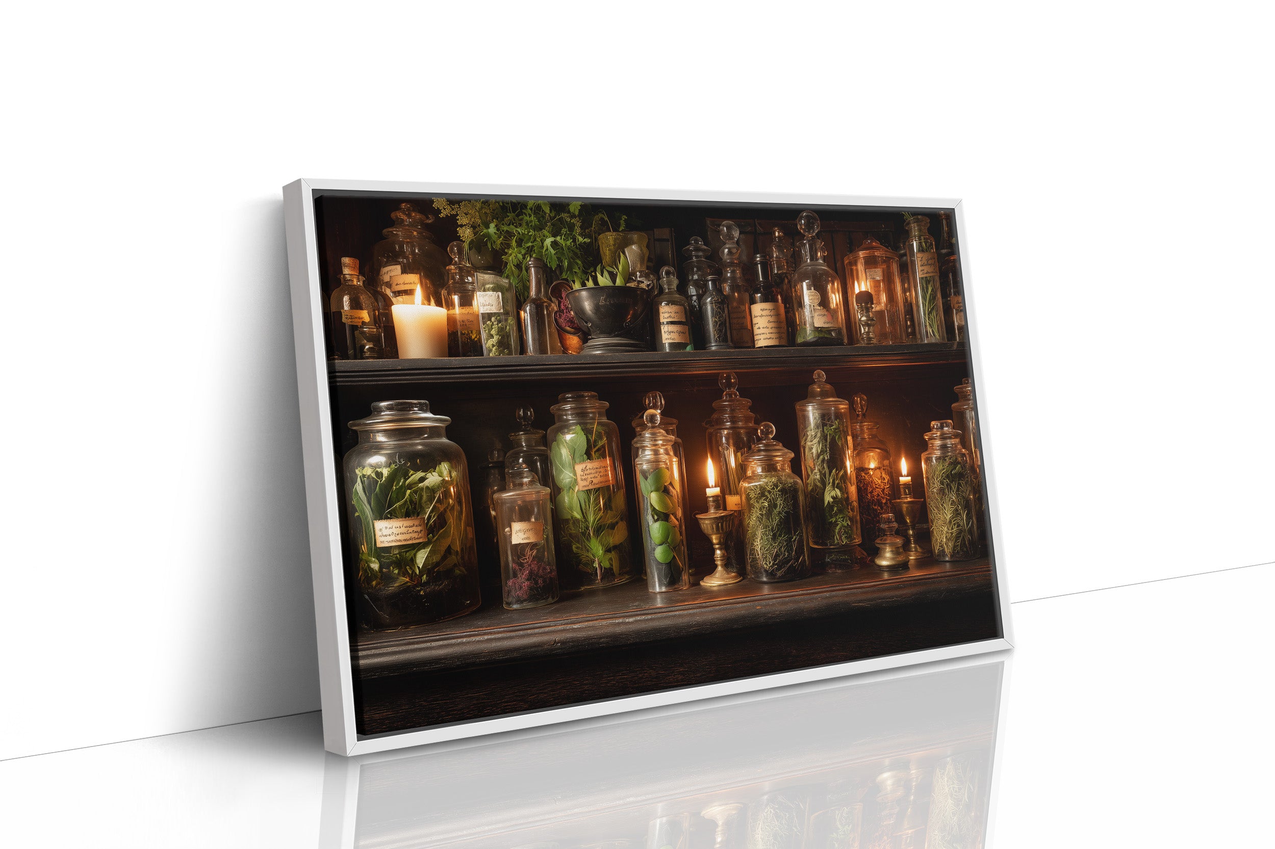 Botanist's Cabinet Of Curious Wonders