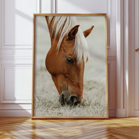 Quiet Morning Graze with Golden Mane