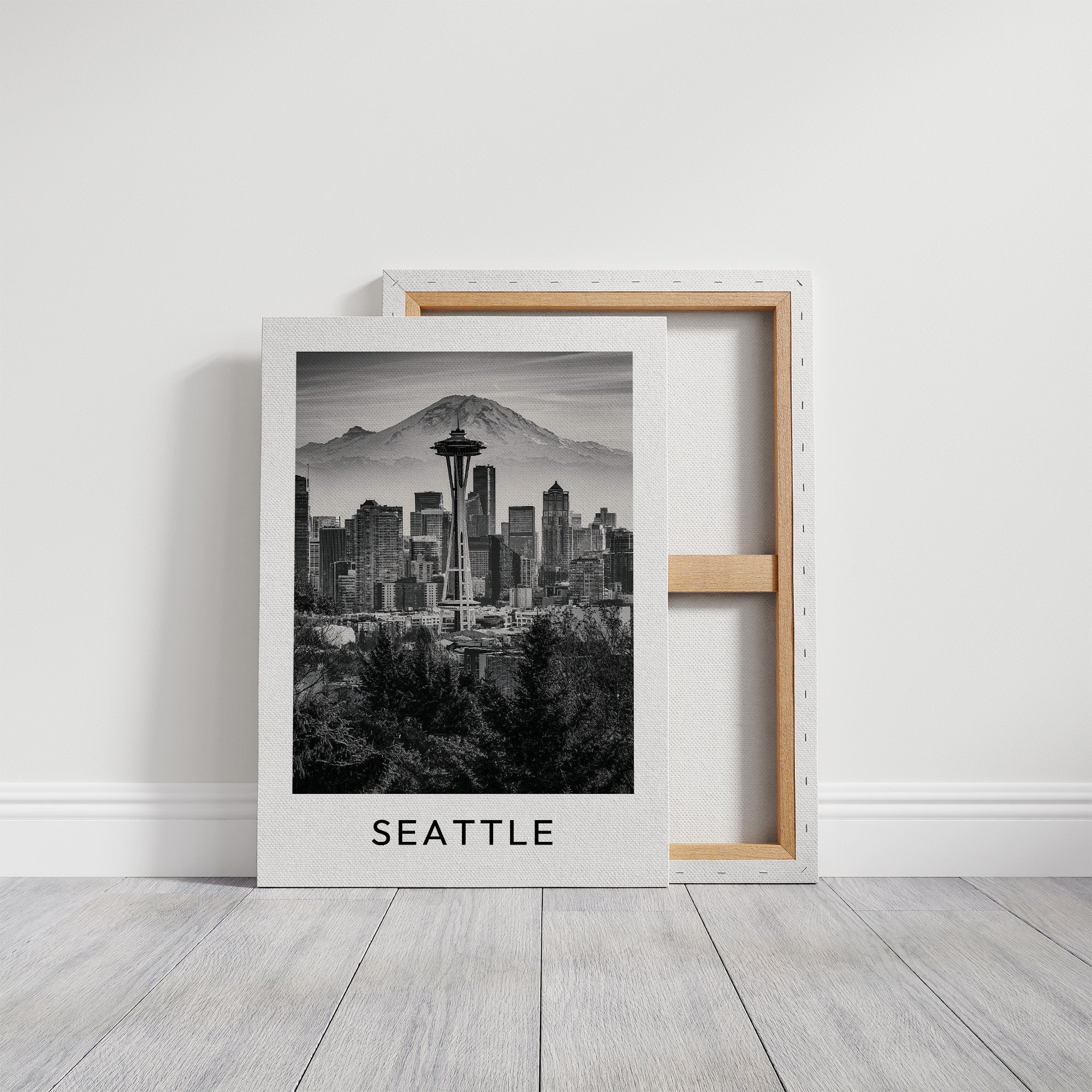 Space Needle, Mountain Backdrop