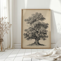 Wisdom Woven in Branches