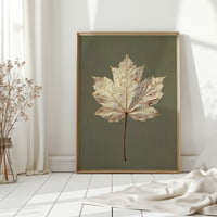 Fallen Grace of Autumn's Hand