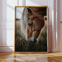 Golden Dusk and Gentle Eyes