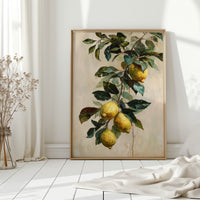 Harvesting Sunlit Citrus Dreams
