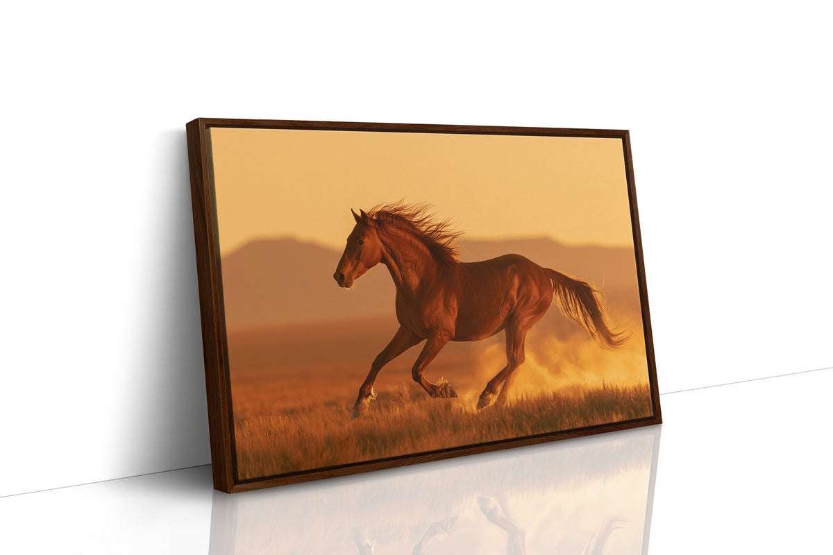 Chestnut Mustang at Golden Hour