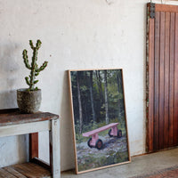 Pink Bench Rests In Forest Shade