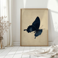 Ink-Stained Wings of Time