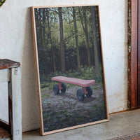 Pink Bench Waits In Forest Shade