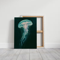Bioluminescent Drift