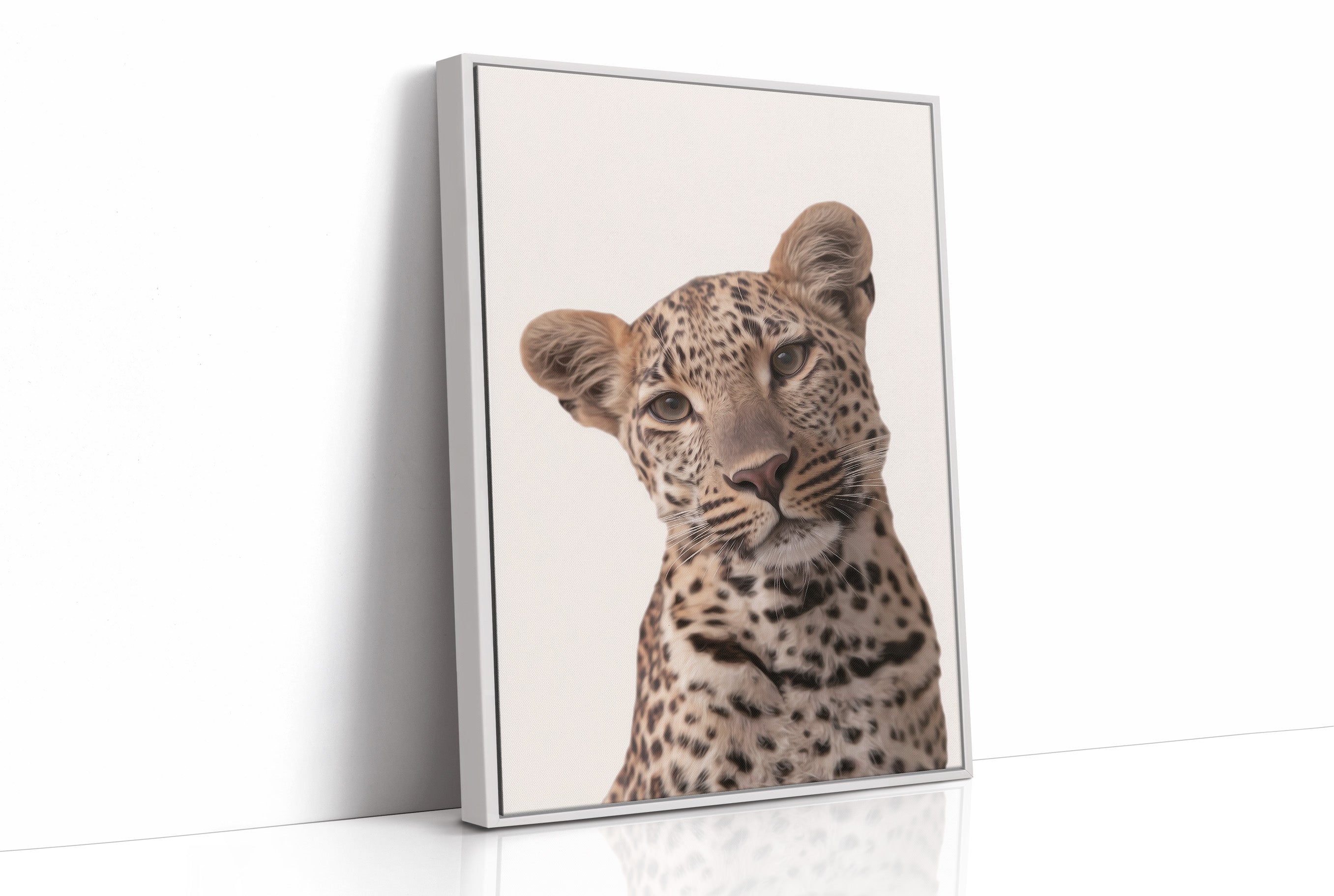 Leopard's Quiet Curiosity