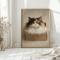 Regal Sentinel in a Box