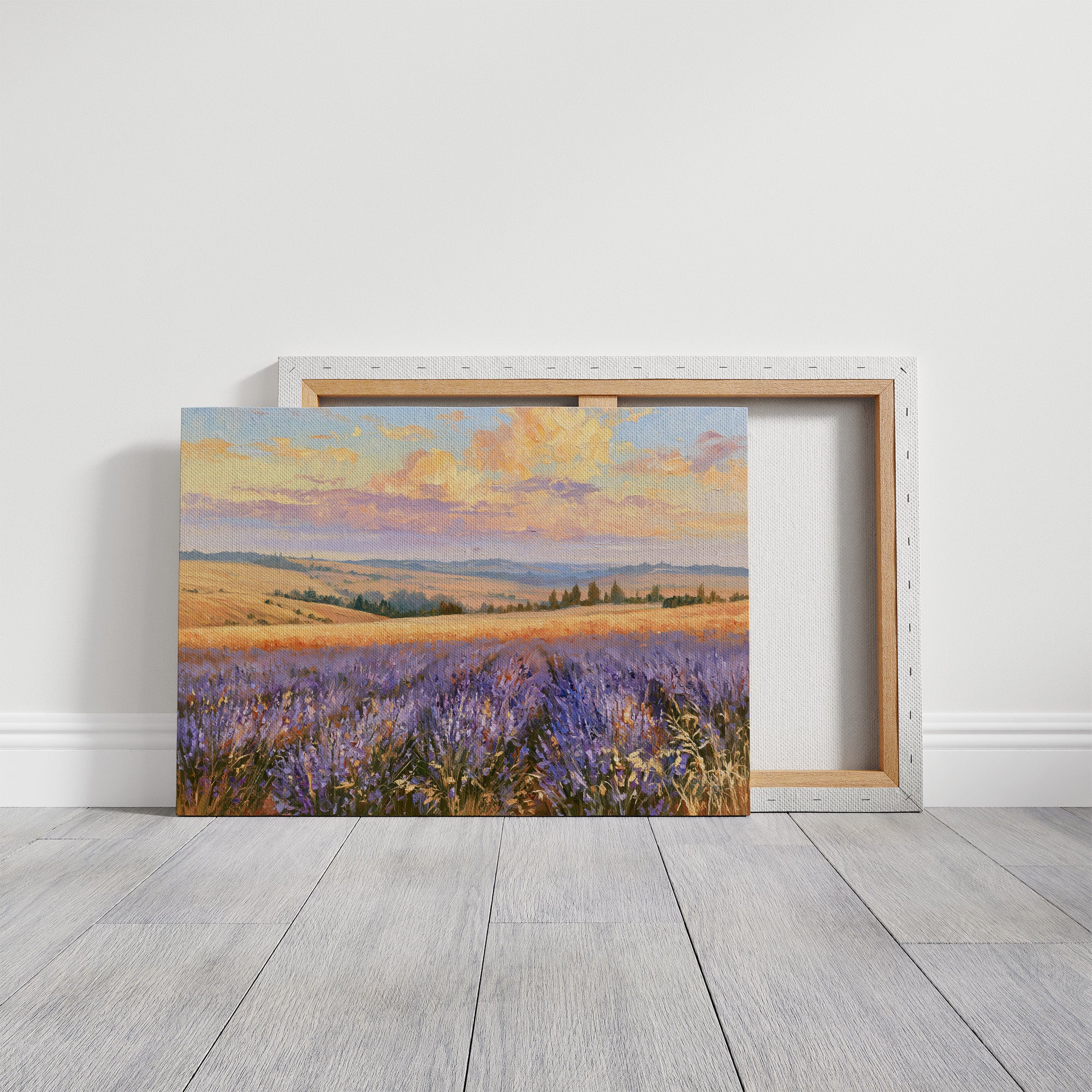 Lavender Fields, Golden Hour