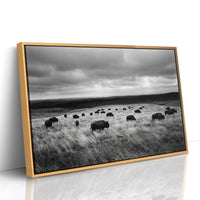 The Prairie Remembers Their Weight
