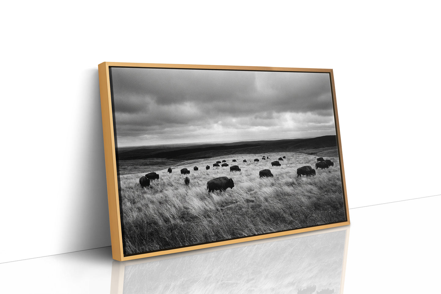 The Prairie Remembers Their Weight