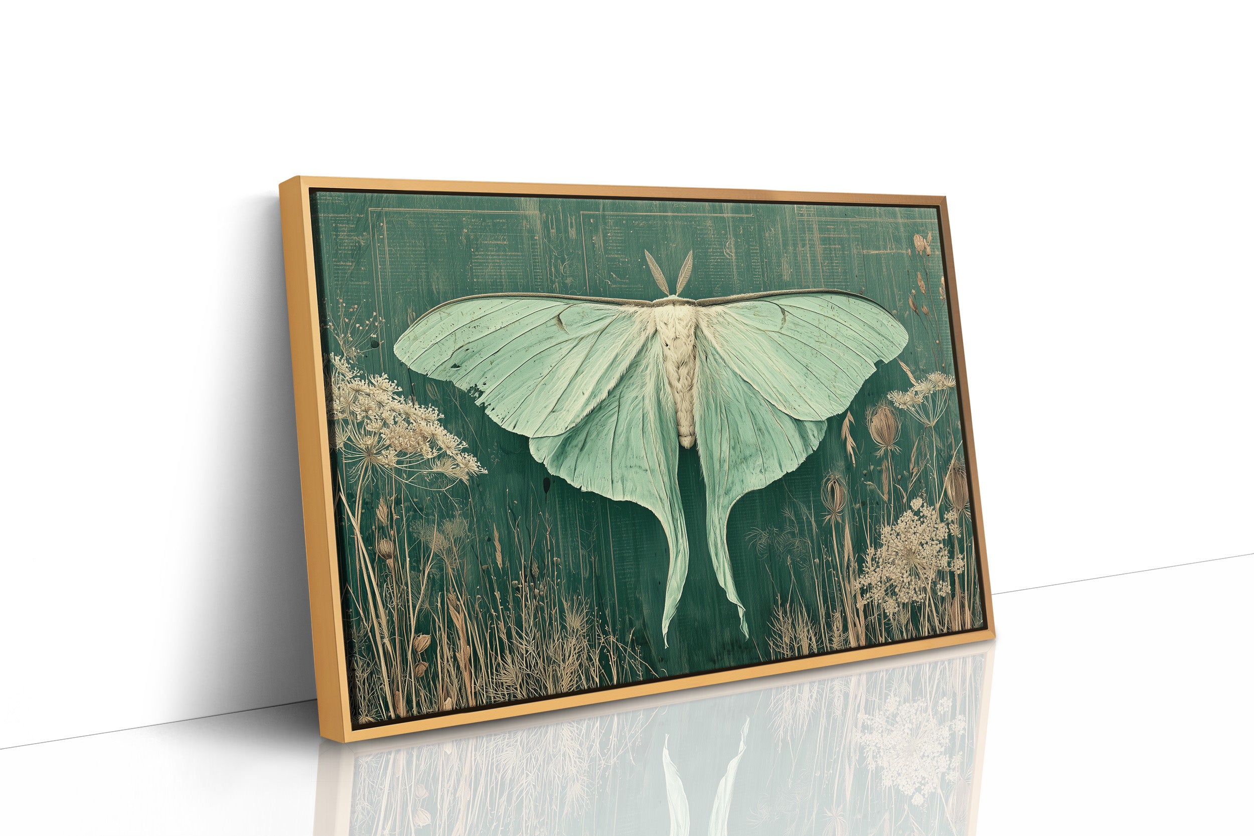 Luna Moth Among Wild Grasses