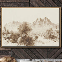 Yucca Blooms Pierce Desert Dawn