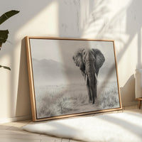 Wisdom Walks The Savanna Plains