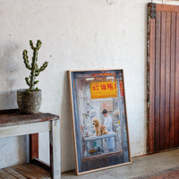 Patient Poodle At Golden Hour