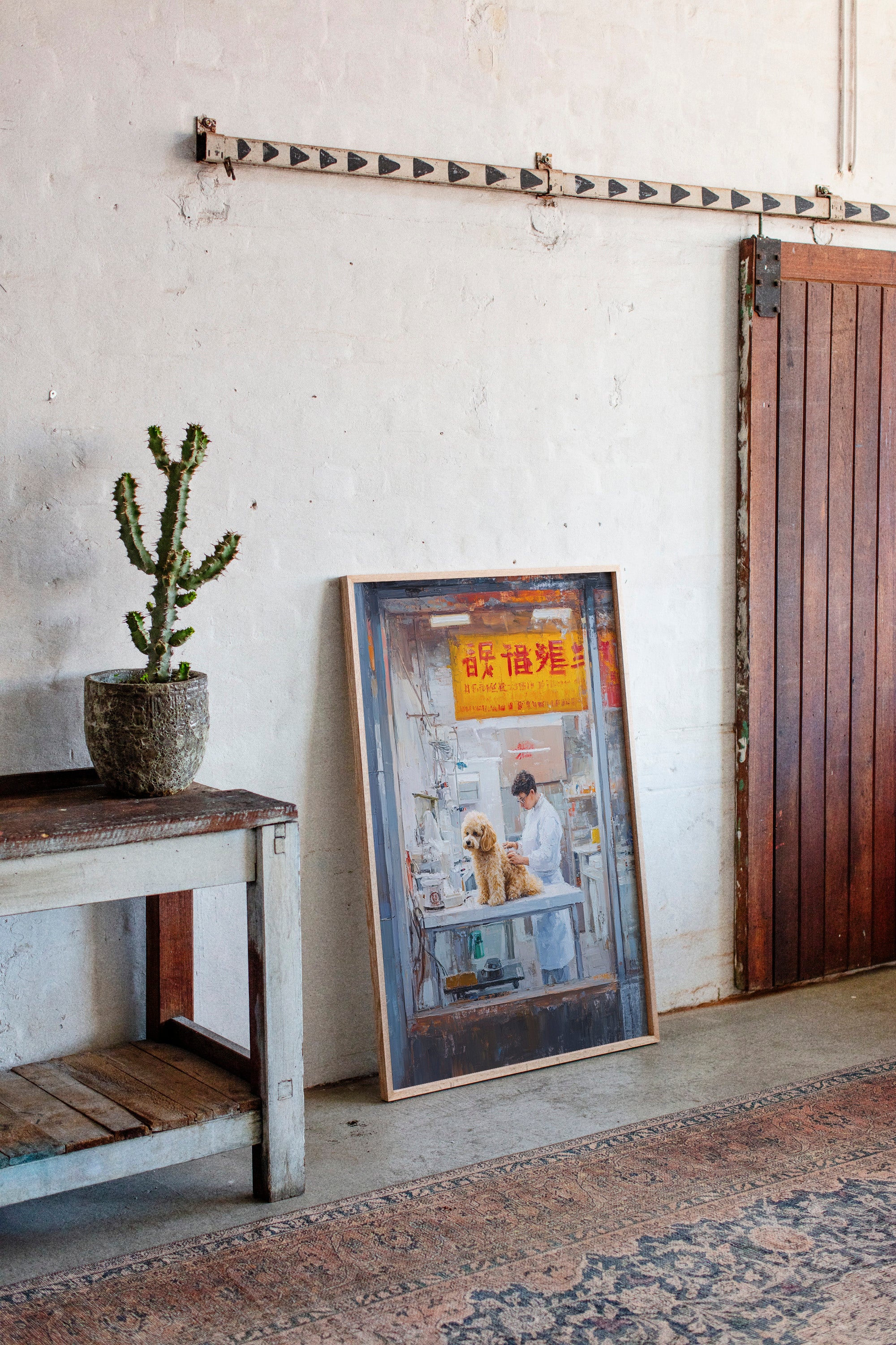 Patient Poodle At Golden Hour