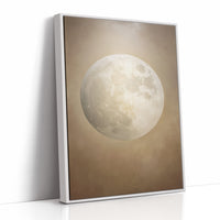 Moonlit Stories Rest Between Pages