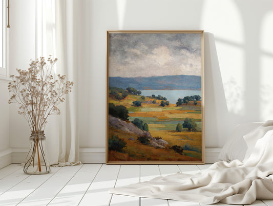 Fields Bathed in Golden Light