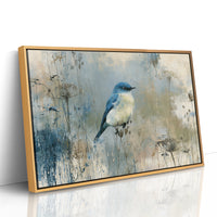 Bluebird Among Winter Grasses