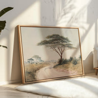 Acacia Bends Over Winding Path