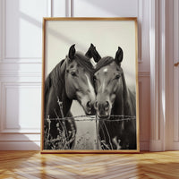 Close Companions at the Fence Line