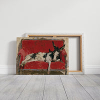 Donkey Takes the Couch