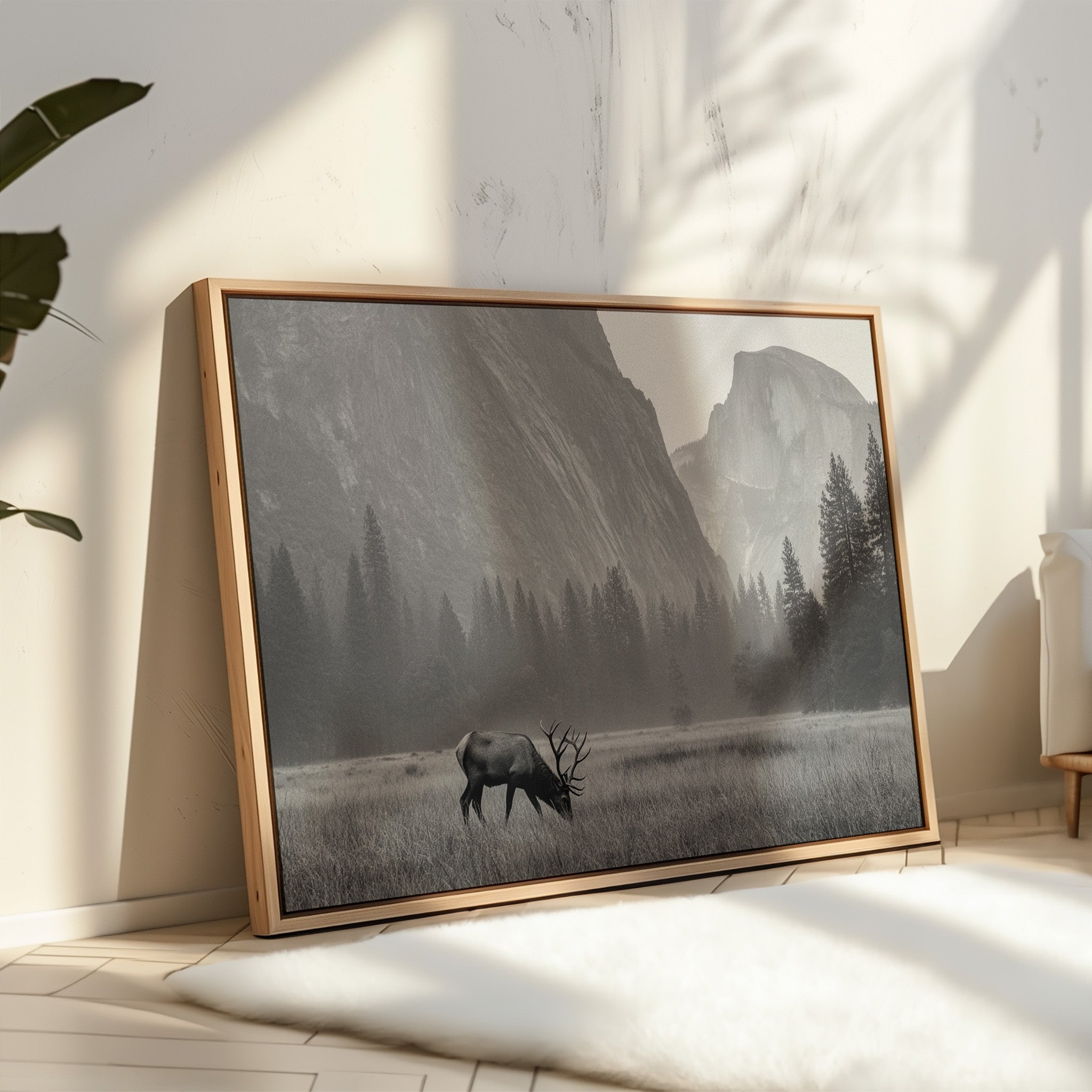 Lone Elk Graces Valley Floor