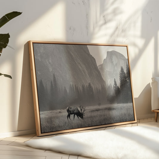 Lone Elk Graces Valley Floor