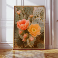 Blooming Cactus in Desert Light