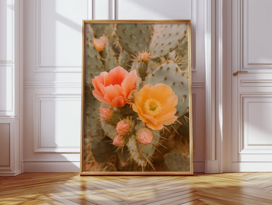 Blooming Cactus in Desert Light