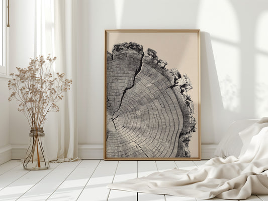 Cross-Section of Time