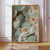 Soft Bloom on Fuzzy Desert Cactus