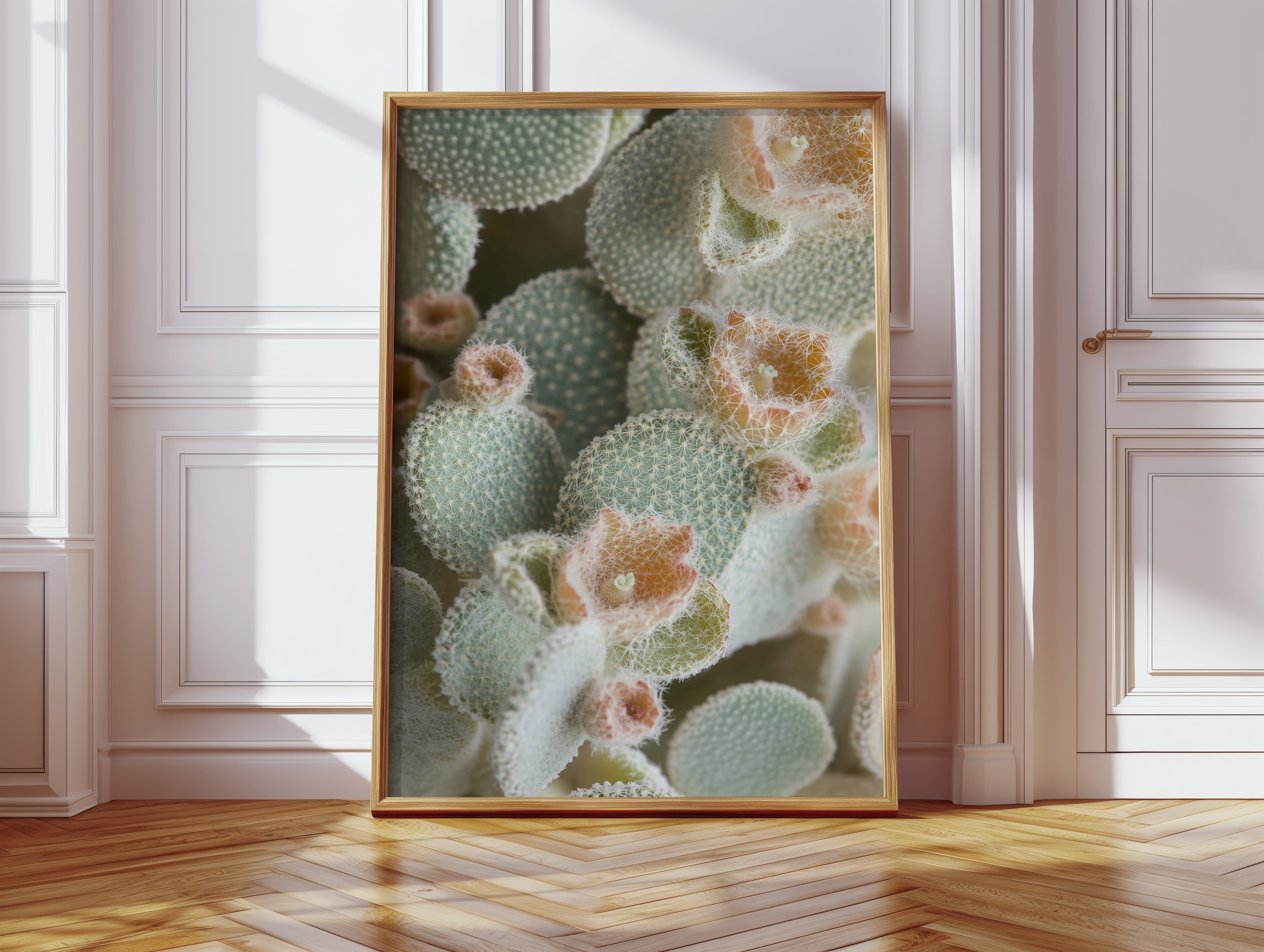 Soft Bloom on Fuzzy Desert Cactus