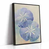 Lavender Sand Dollars Whisper Secrets