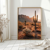 Sunlit Giants in Arid Embrace
