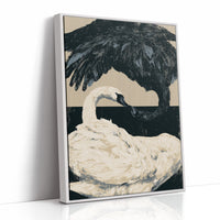 Black-Necked Swan on the Waterline