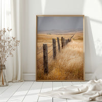 Fences That Tell Forgotten Tales