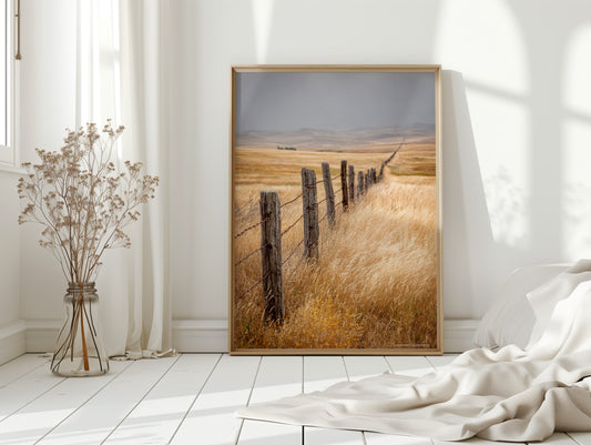 Fences That Tell Forgotten Tales