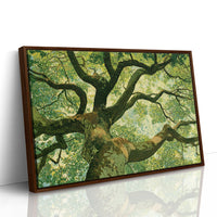 Beneath the Emerald Canopy