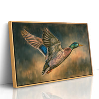 Mallard Takes Flight