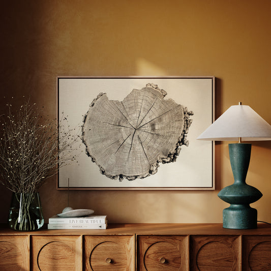 Timber Tales of Time