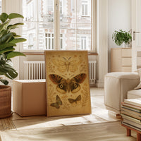 Vintage Moths and Meadow Wings