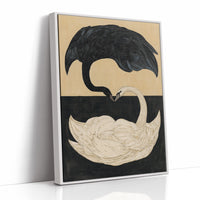Two Swans, One Heart
