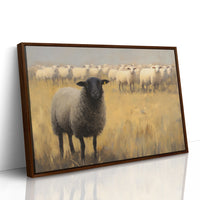 Black Sheep Leads Golden Meadow