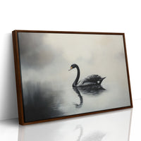 Black Swan Glides Through Morning Fog