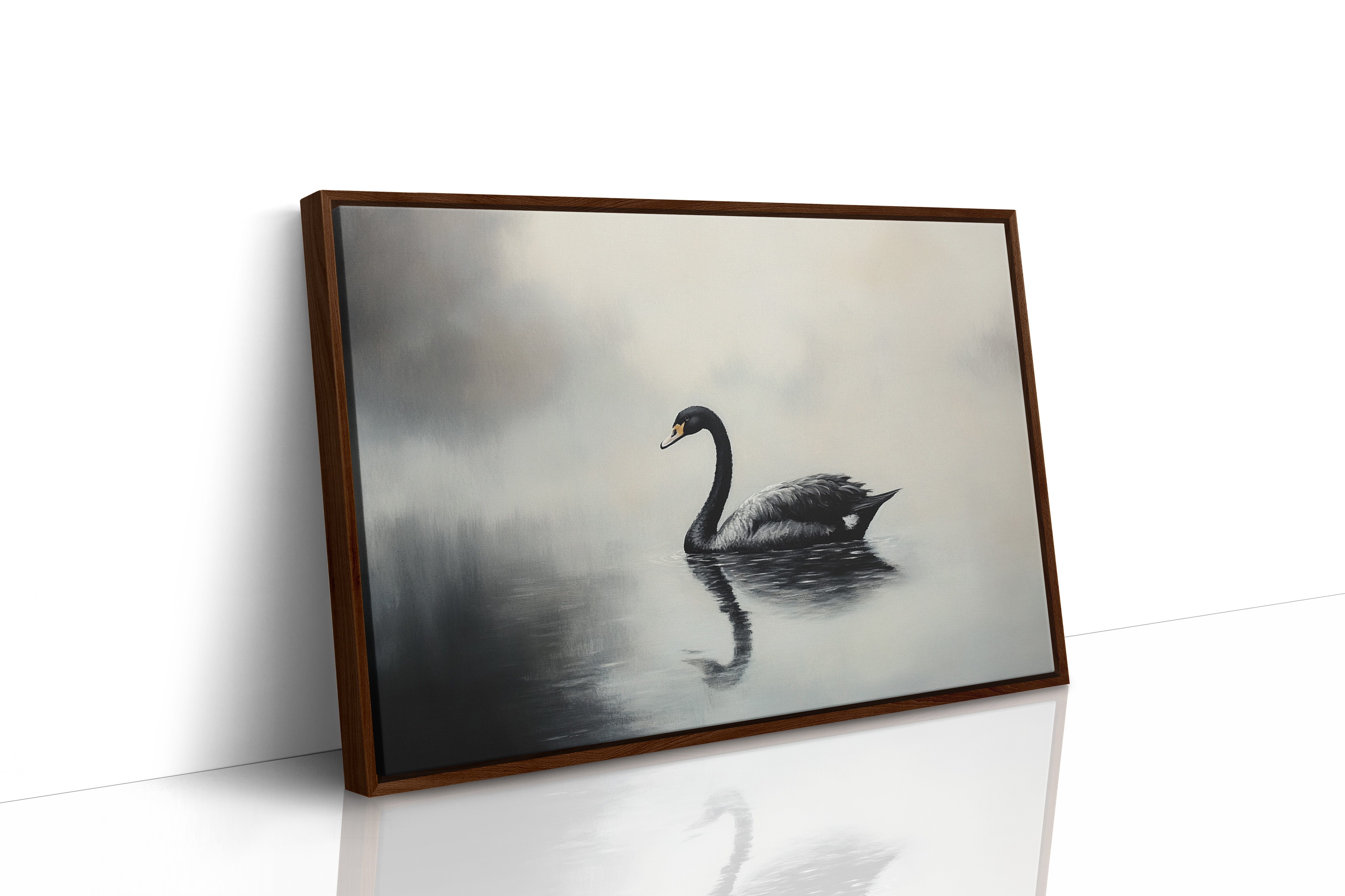 Black Swan Glides Through Morning Fog